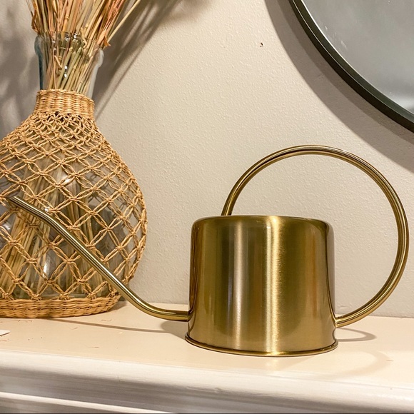 Accents Gold Stainless Steel Watering Can Poshmark